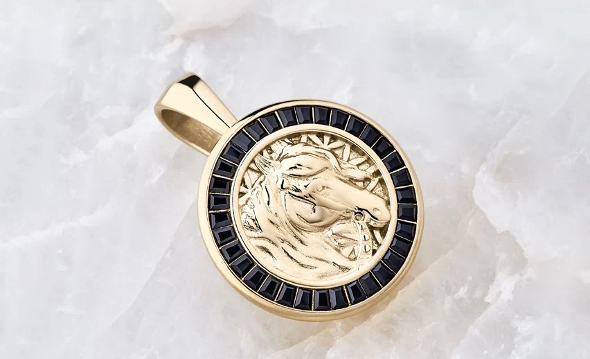 Medalla Equus, detalle