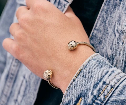 Brazalete León, segunda fotografía del catálogo