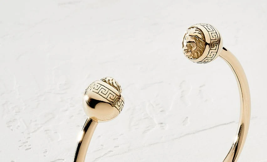 Brazalete León, detalle